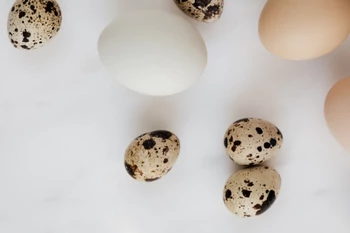 Pigmentfolt Q&amp;A kérdések- válaszok