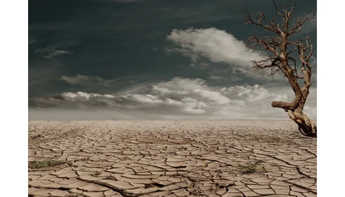 Amit a száraz bőrről érdemes tudni